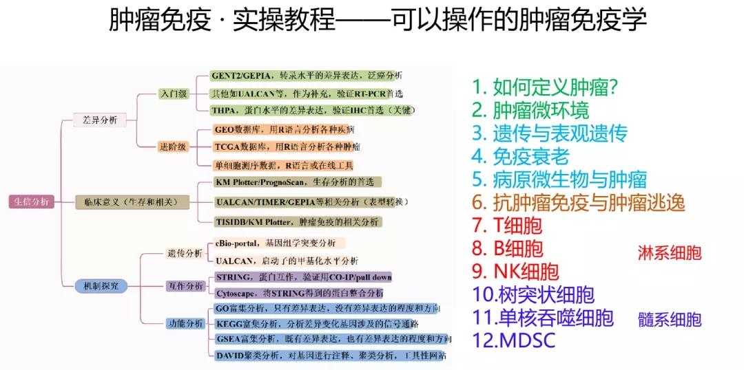 2024年正版資料大全免費(fèi),穩(wěn)固計(jì)劃實(shí)施_JNS51.847跨界版