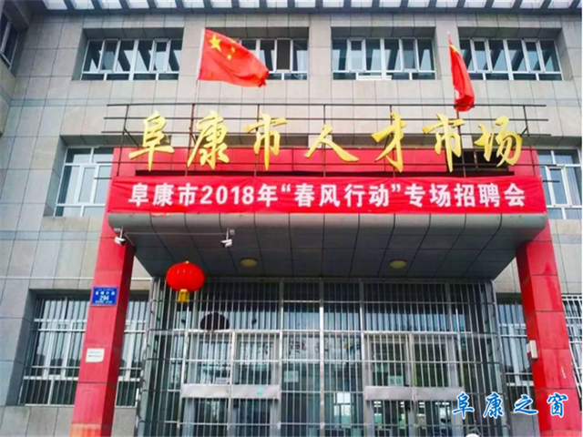 阜康市最新招聘信息，科技驅(qū)動(dòng)職業(yè)革新，體驗(yàn)未來工作體驗(yàn)革新之旅