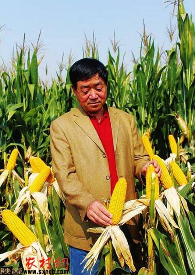 頂級(jí)農(nóng)民王鳴，農(nóng)田中的勵(lì)志成長(zhǎng)與挑戰(zhàn)之路