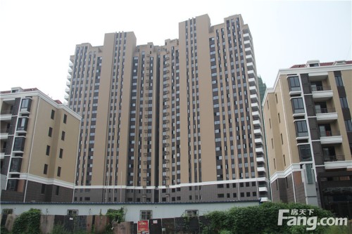 輝騰新天地最新動(dòng)態(tài),輝騰新天地最新動(dòng)態(tài)——家的溫馨與友情的綻放