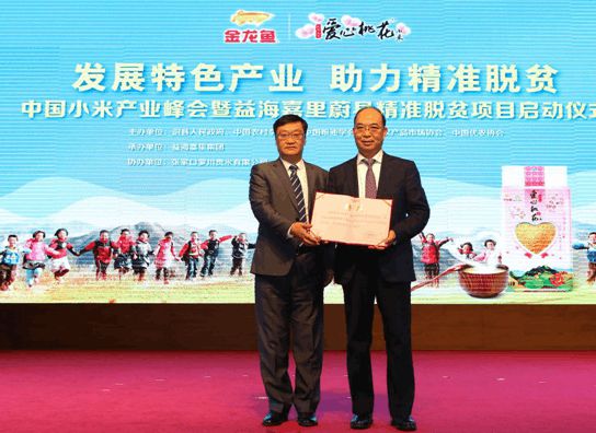 2024新奧資料免費精準39,全身心數(shù)據(jù)計劃_YCK23.984創(chuàng)意設計版