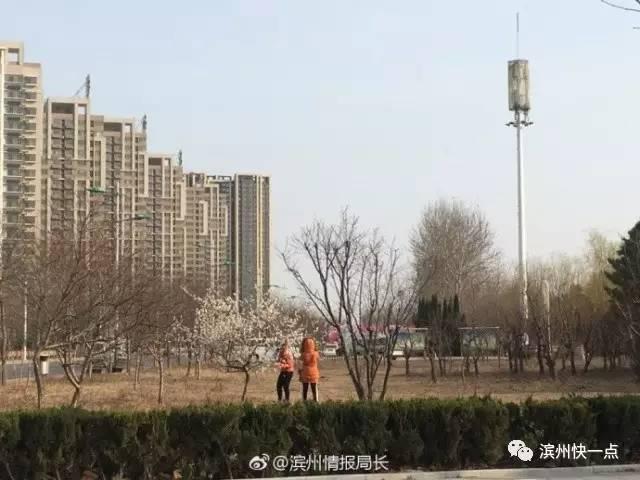 鄒平司機(jī)最新招聘，行業(yè)現(xiàn)狀、觀點(diǎn)分析與個人立場探討