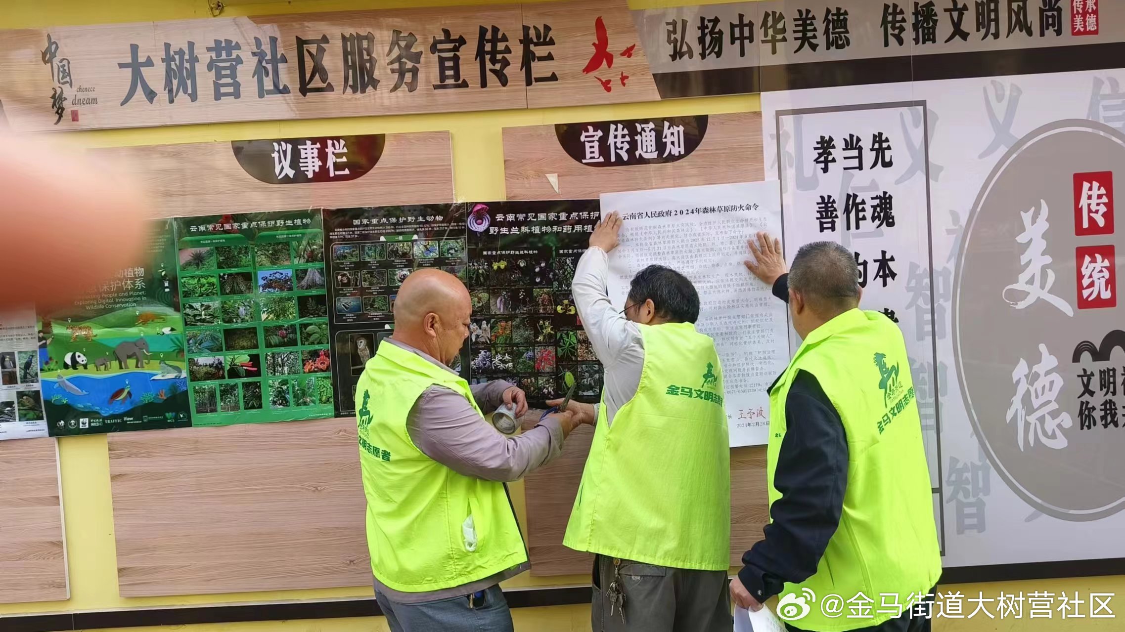 最新草社區(qū)榴2024，學(xué)習(xí)變革，自信助力夢想實(shí)現(xiàn)
