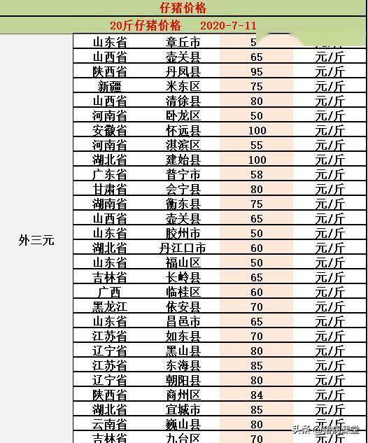最新仔豬價(jià)格行情解析，獲取與理解價(jià)格走勢詳解
