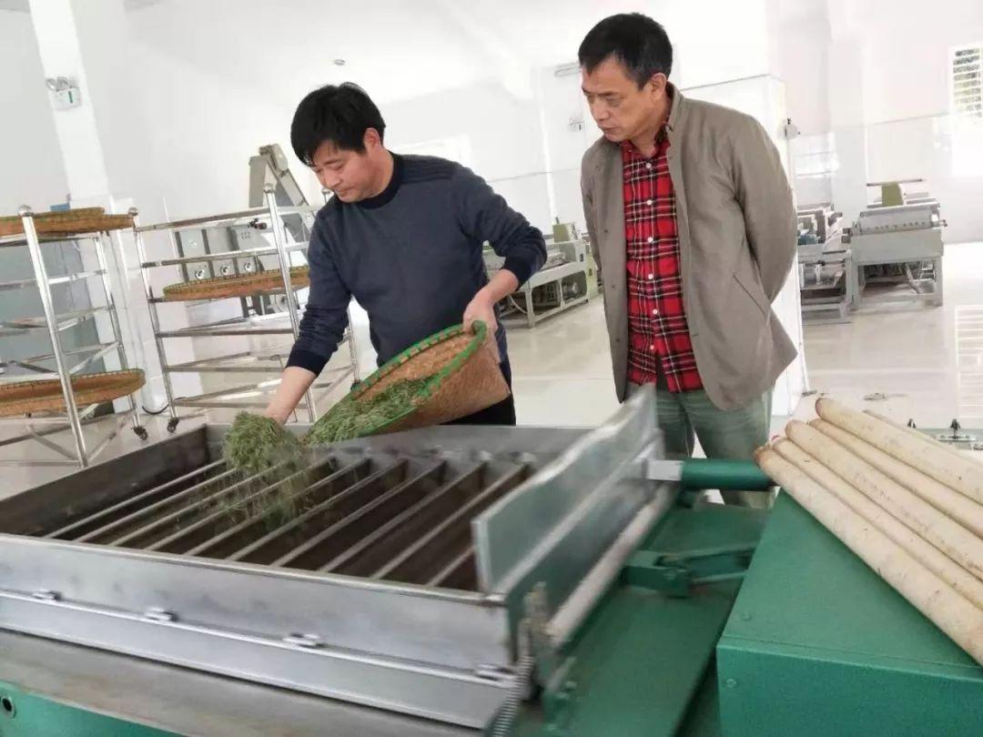 秭歸縣干部最新公示,秭歸縣干部最新公示——科技革新，公示未來(lái)