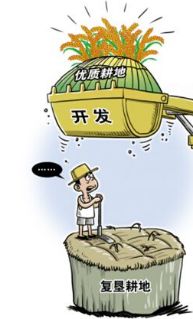 口糧田新政策下的田間趣事與家的溫暖樂章