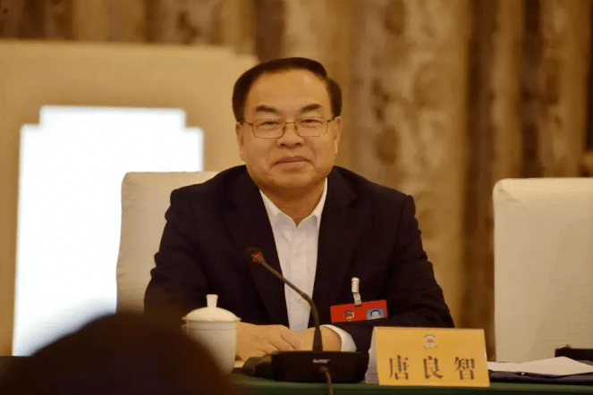 唐良智的最新動態(tài)及相關(guān)論述概述