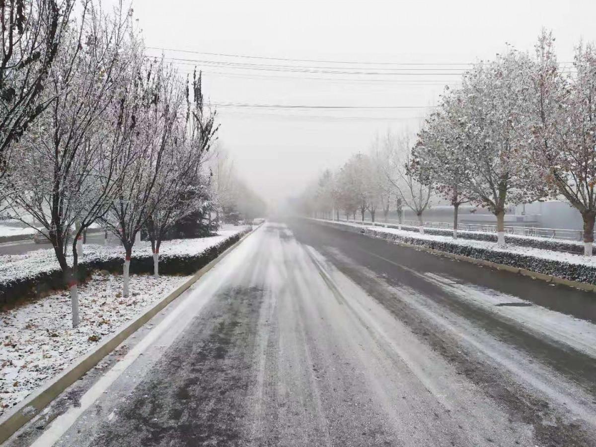 保定道路規(guī)劃最新動態(tài)，駛向自然美景，探尋內(nèi)心寧靜之旅