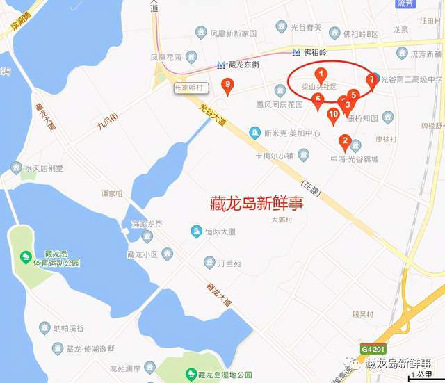 藏龍島規(guī)劃最新動(dòng)態(tài)及觀點(diǎn)論述揭秘