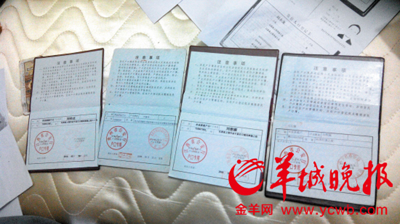 最新戶口本樣式解析，一種觀點(diǎn)的闡述
