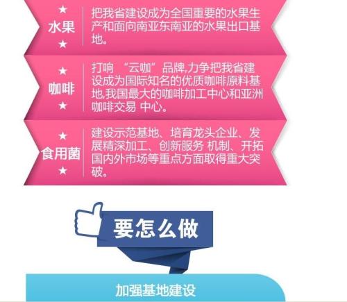 管家婆特馬免費(fèi)資料大全,現(xiàn)代化解析定義_NZA19.807妹妹版