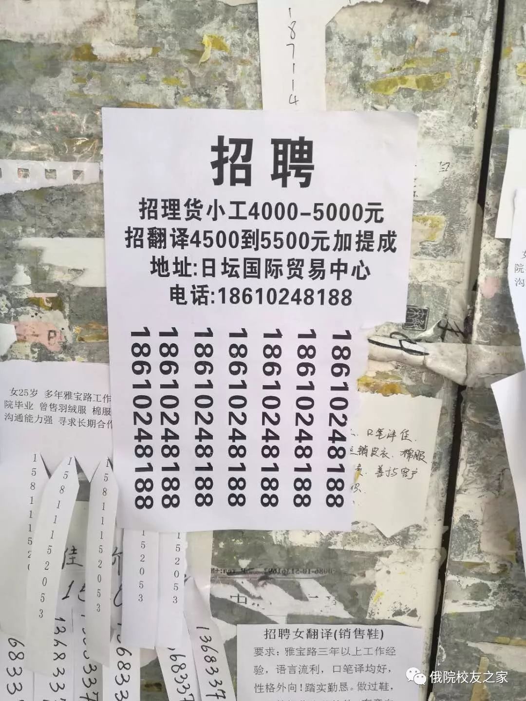 最新俄語(yǔ)招聘，開(kāi)啟語(yǔ)言之旅，成就自信與輝煌職業(yè)生涯