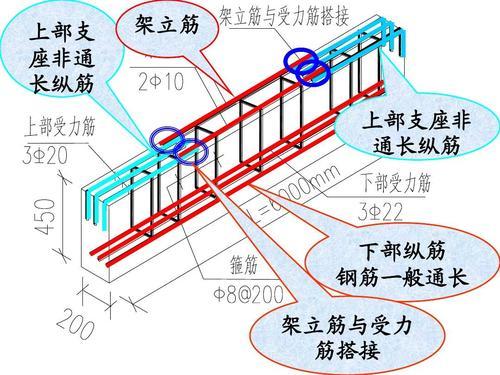最新門窗圖集，設(shè)計趨勢與技術(shù)革新的綜合展示