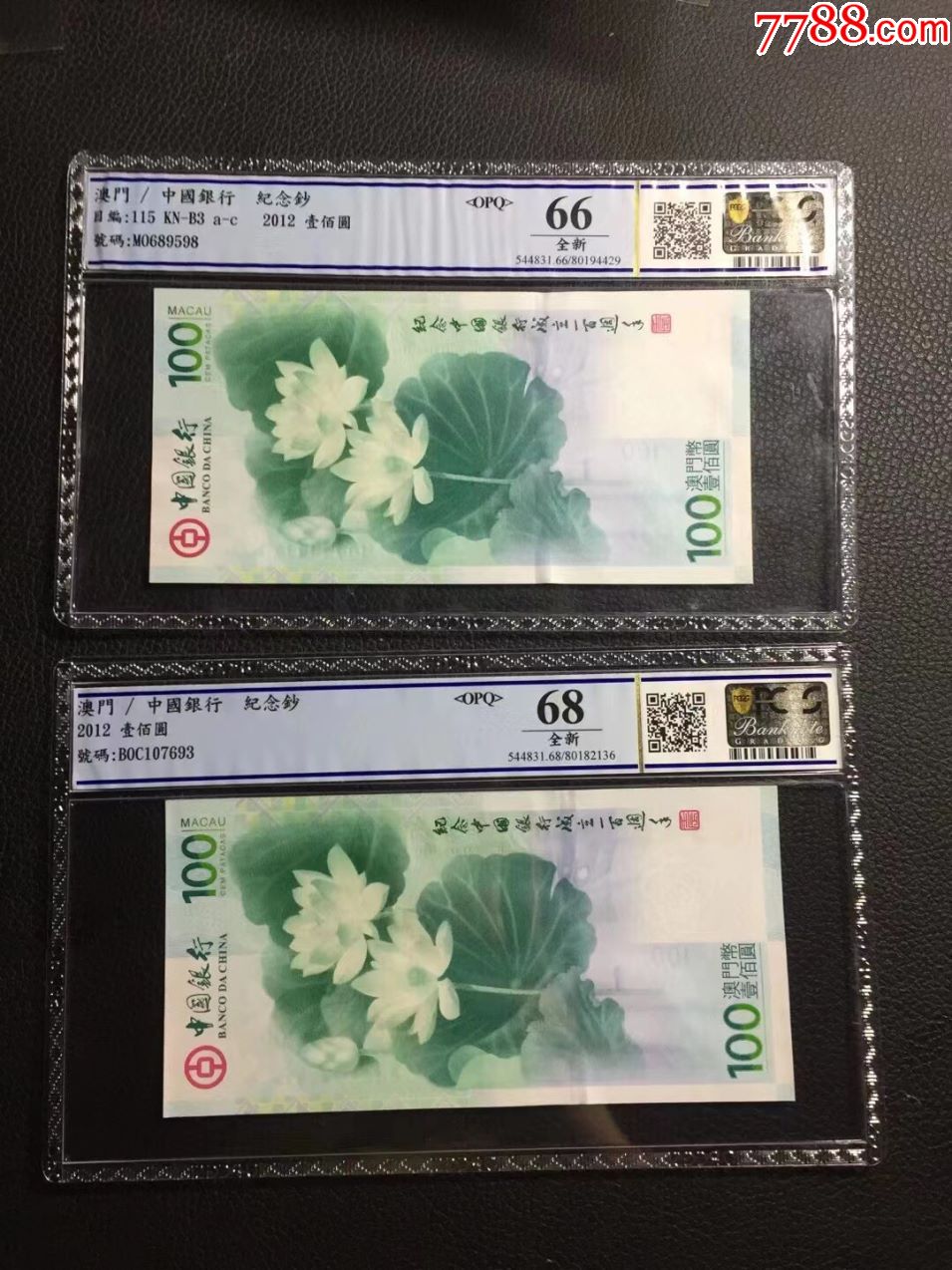 荷花鈔最新價格揭秘，一段溫馨的友情故事中的貨幣價值探索