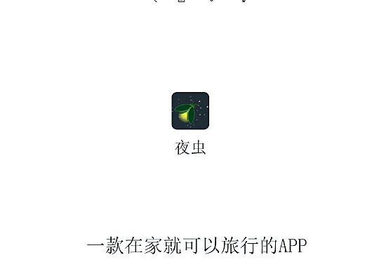 夜蟲秀最新，光影與藝術的盛宴之夜