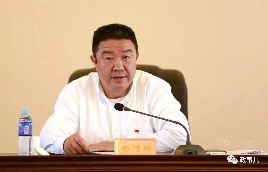 楊阿麟最新技能學(xué)習(xí)指南，如何快速完成一項(xiàng)任務(wù)或掌握新技能