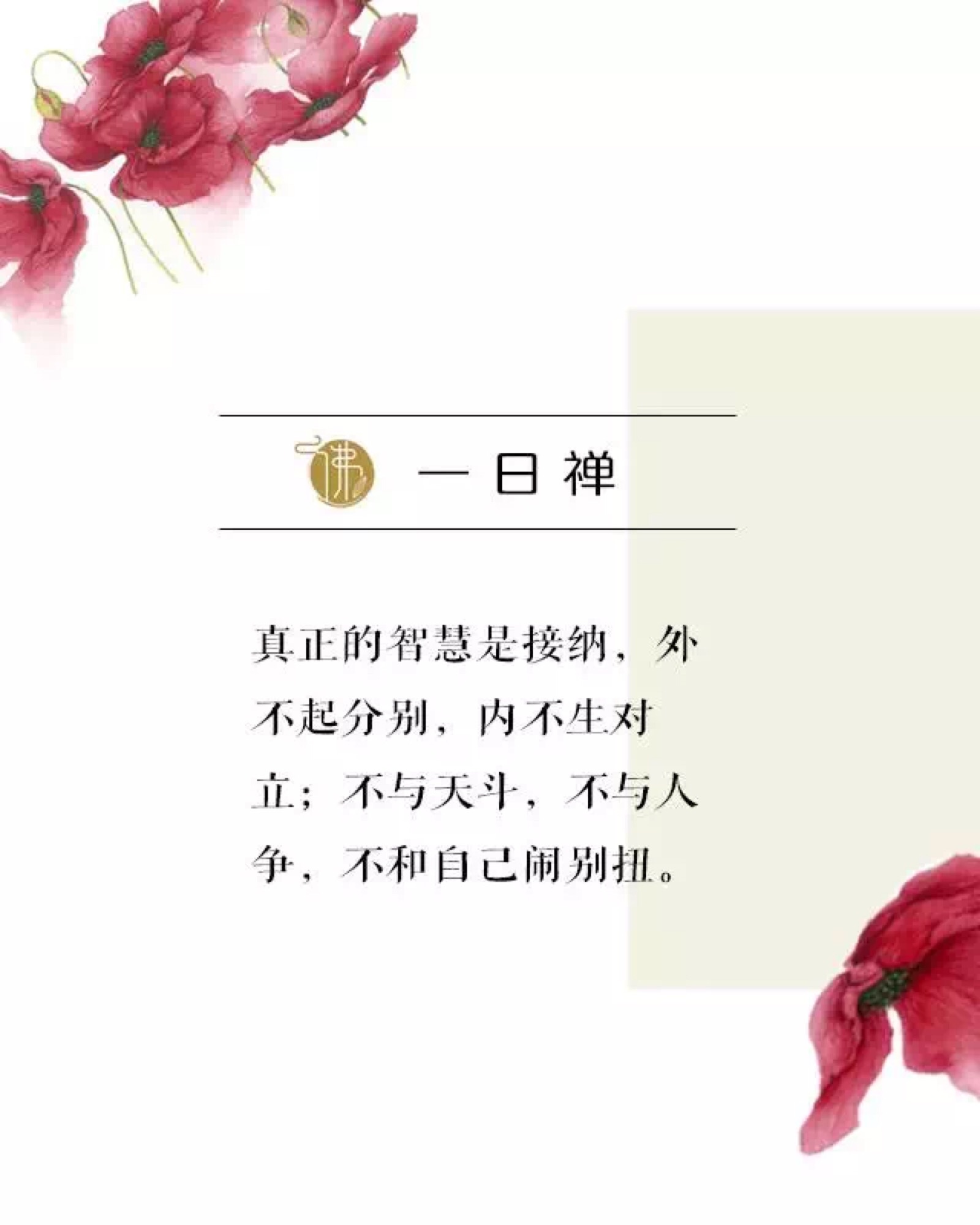 一日禪最新一句話心靈啟示