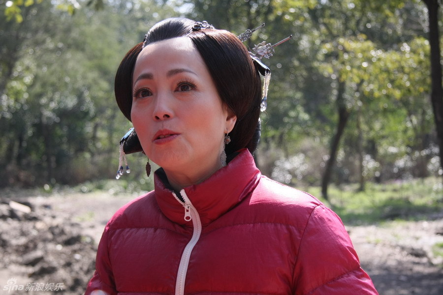 苑瓊丹最新動態(tài)及深度探討演藝成就與個(gè)人立場