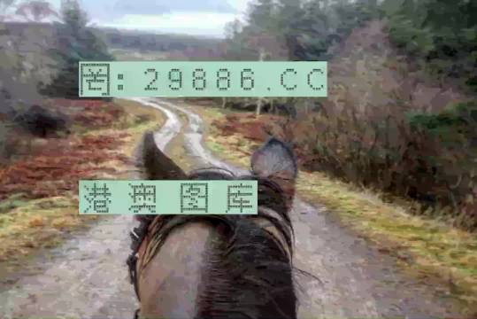 最準一肖一碼一一香港澳王一王,實地觀察解釋定義_MMM83.965探索版