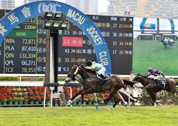 澳門六今晚開什么特馬,數(shù)據(jù)科學解析說明_CTA83.443游戲版