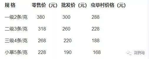 蟲草最新行情與友情的奇妙交匯點(diǎn)