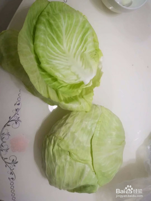 包菜最新行情，一顆菜的力量與成長之路探索