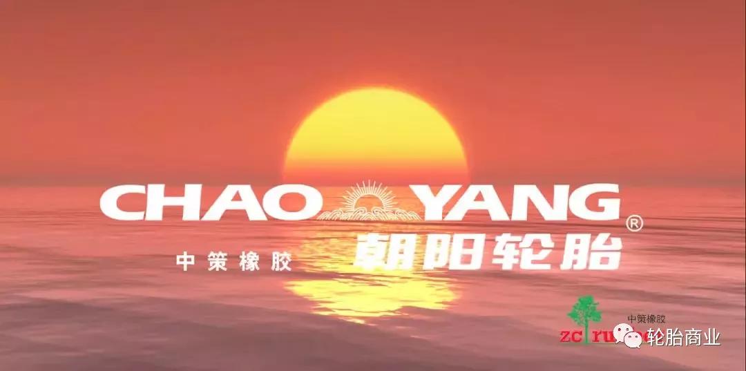最新卡子午步驟指南，從入門到進(jìn)階的全面指導(dǎo)