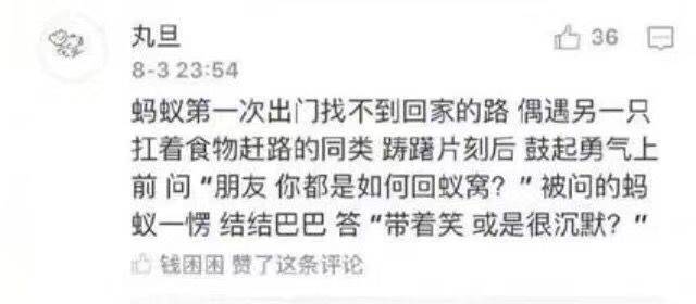 今日最新段子,今日最新段子，掀起網(wǎng)絡(luò)熱潮的浪潮