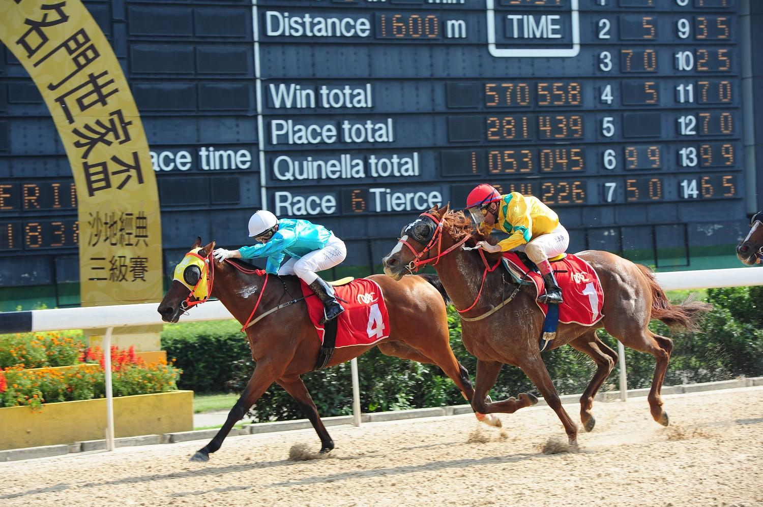 馬會傳真資料澳門,全面性解釋說明_JRP35.547溫馨版