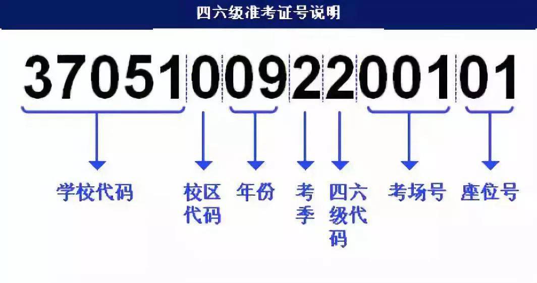2024新澳門管家婆免費(fèi)大全,策略優(yōu)化計(jì)劃_YAY35.821珍藏版