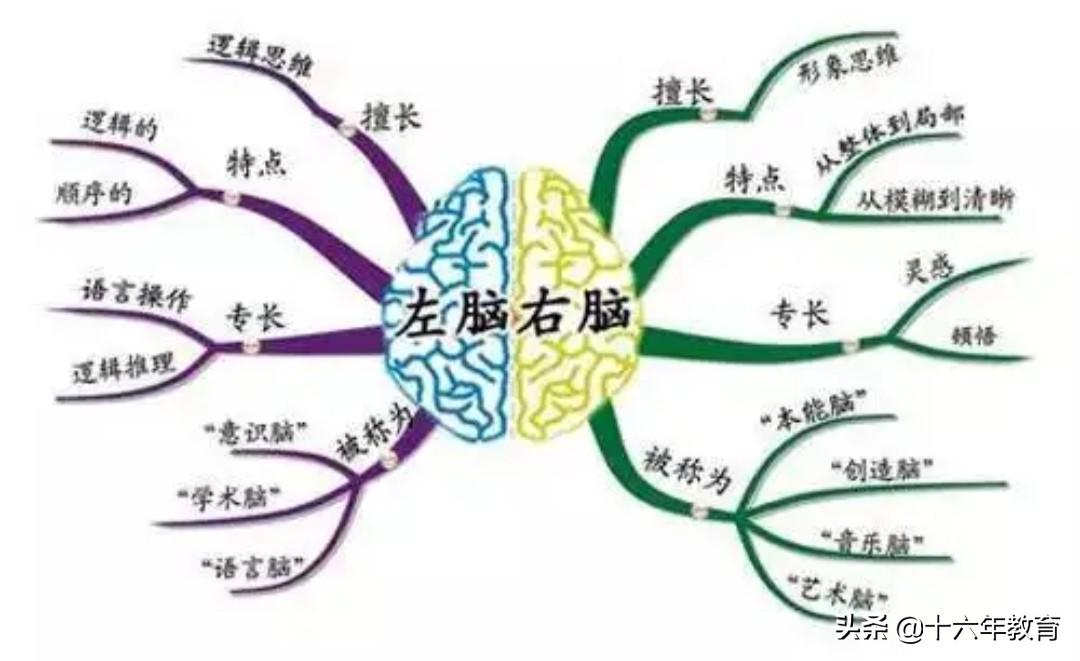 最新完美音符，與自然美景的邂逅，探尋內(nèi)心平和之旅