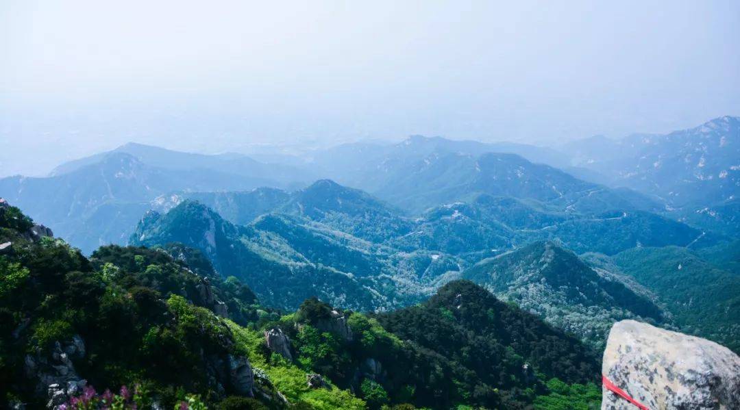 青山華最新,青山華最新，探尋綠色發(fā)展的時代先鋒