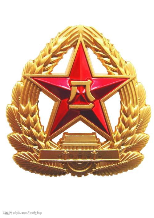 最新軍徽揭秘，小巷深處的隱藏瑰寶