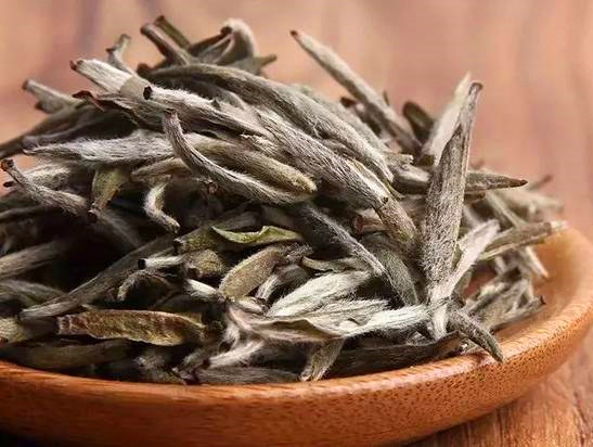 最新茶葉品種探索，小巷中的茶香秘境