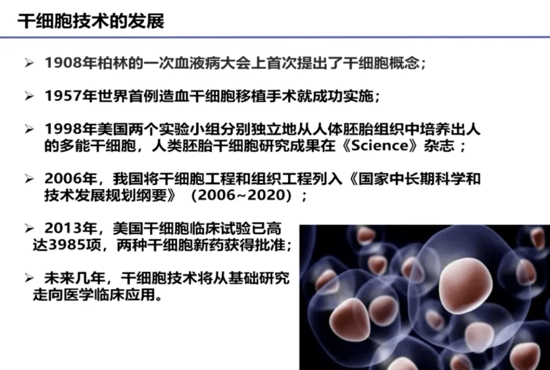 干細(xì)胞臨床最新進(jìn)展揭秘，小巷深處的未知寶藏奇跡