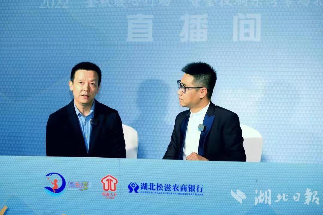 史丹利最新招聘信息深度解讀，多元視角下的觀察與分析
