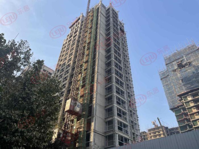 寶鼎世嘉引領(lǐng)行業(yè)創(chuàng)新，塑造未來生活最新動(dòng)態(tài)