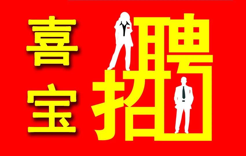 廣平最新招聘信息詳解，觀點闡述與分析
