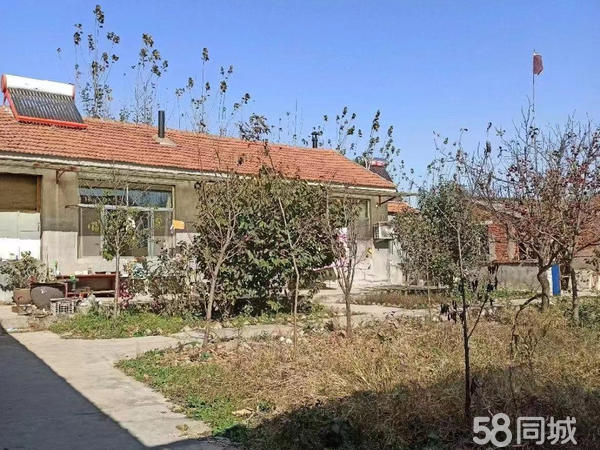 諸城土地院落出售最新動(dòng)態(tài)及其背景影響分析