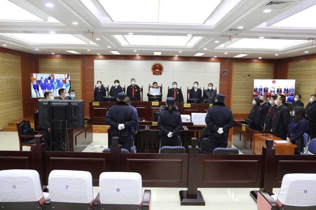 海利達王海最新動態(tài)更新