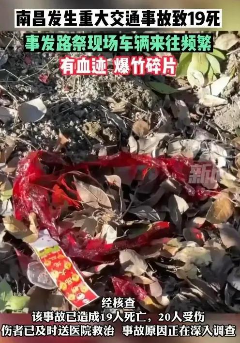 南昌交通事故最新消息，自然之旅喚醒內(nèi)心寧靜