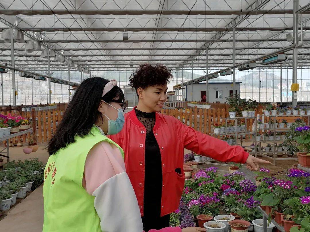 博山夏家莊鎮(zhèn)最新招聘信息與職業(yè)機(jī)會(huì)深度探討