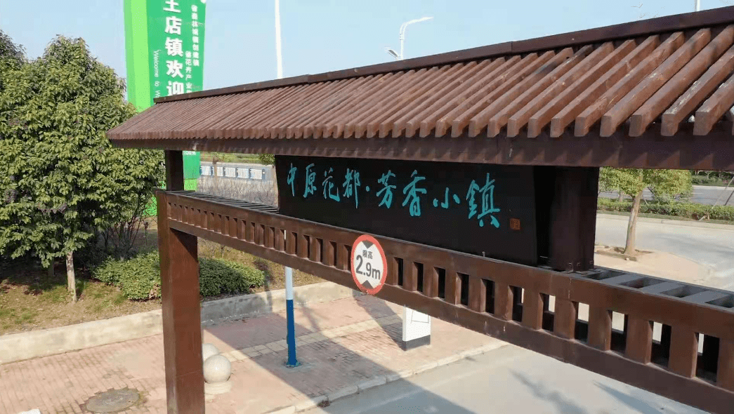 阜陽(yáng)王店鎮(zhèn)，日常趣事、友情與家庭溫馨時(shí)光的最新消息