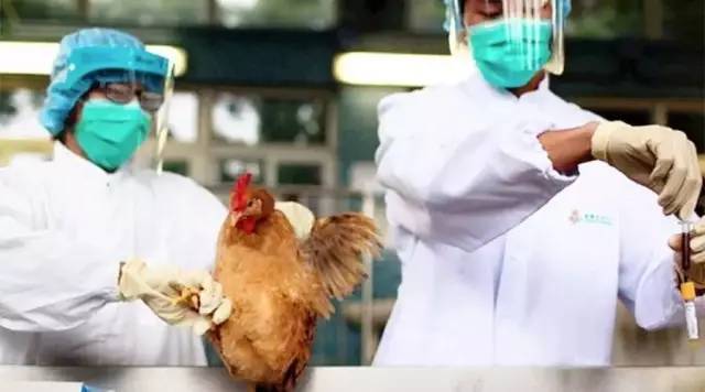 陜西H7N9最新疫情動(dòng)態(tài)報(bào)告??