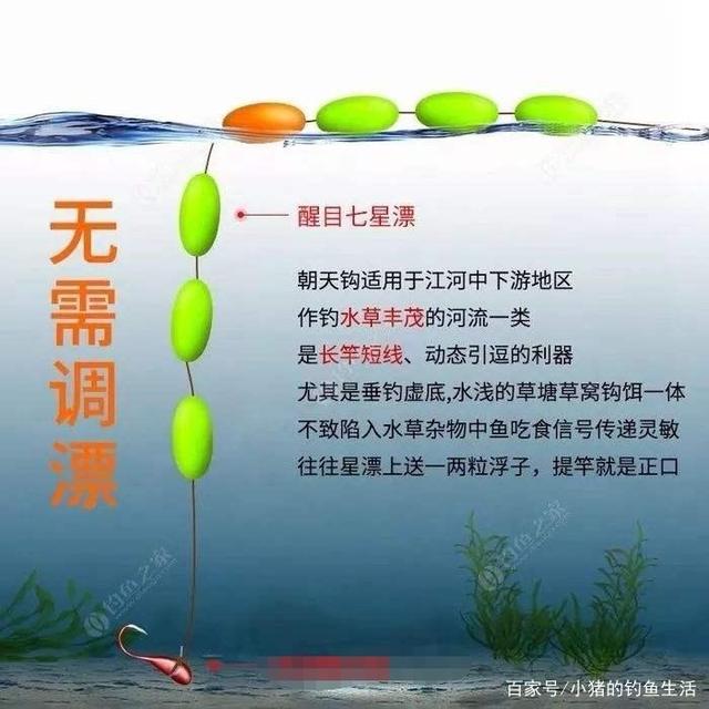 七星漂最新調(diào)漂法，開啟溫馨有趣的釣魚之旅