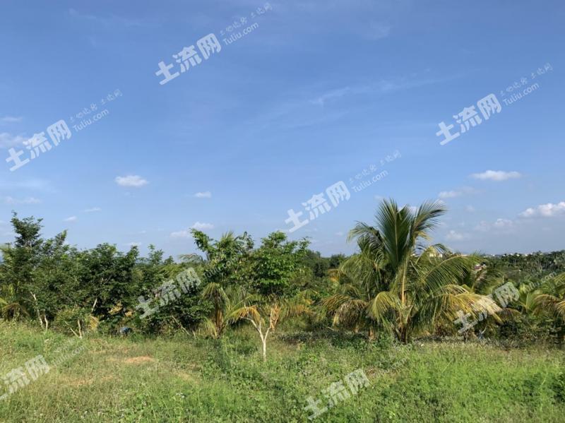 萬寧市最新土地出售，投資熱土的新機(jī)遇，開啟財(cái)富之門！