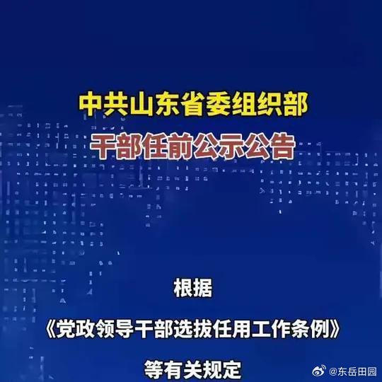 汽車飾品的銷售 第152頁