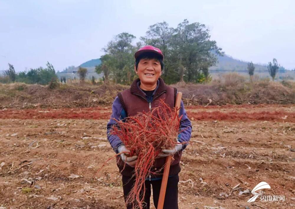 東平縣老湖鎮(zhèn)最新動(dòng)態(tài)深度分析與觀點(diǎn)闡述