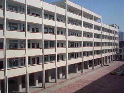 南陽三鑫園最新動態(tài)，溫馨日常與友誼花園的綻放