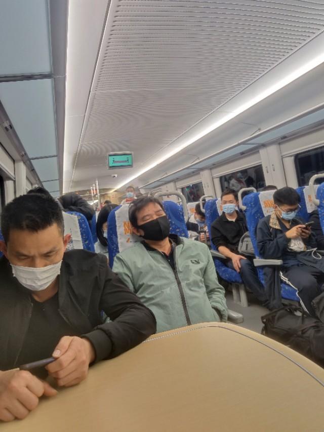 莞惠城軌最新動態(tài)，啟程自然之旅，探尋內(nèi)心寧靜的港灣